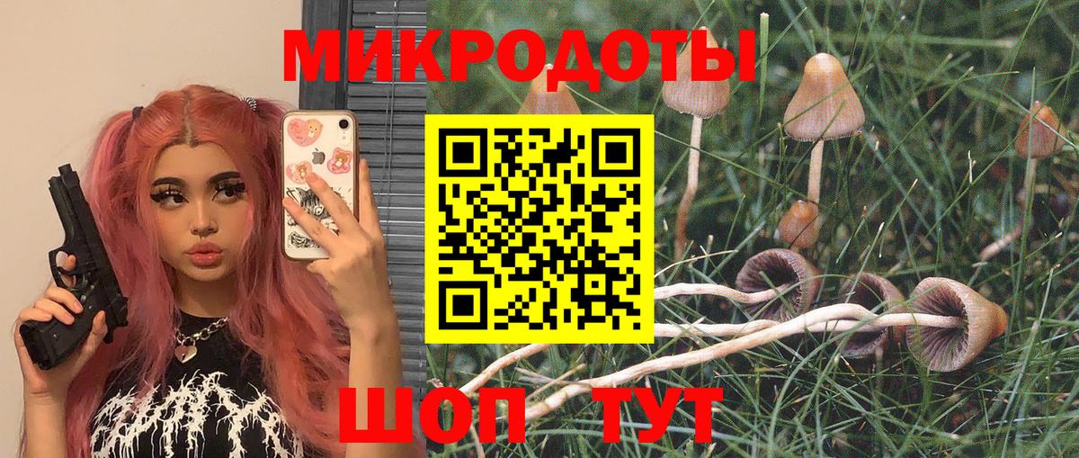 Галлюциногенные грибы прущие грибы Миллерово